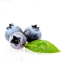 bilberry