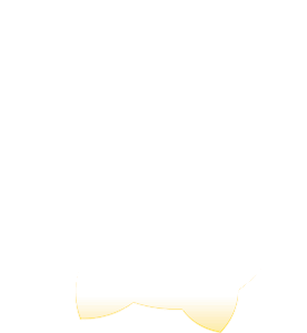 grafana logo.png