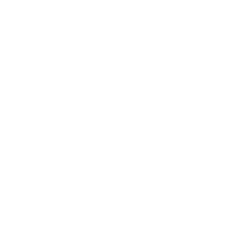 thermometer (1).png