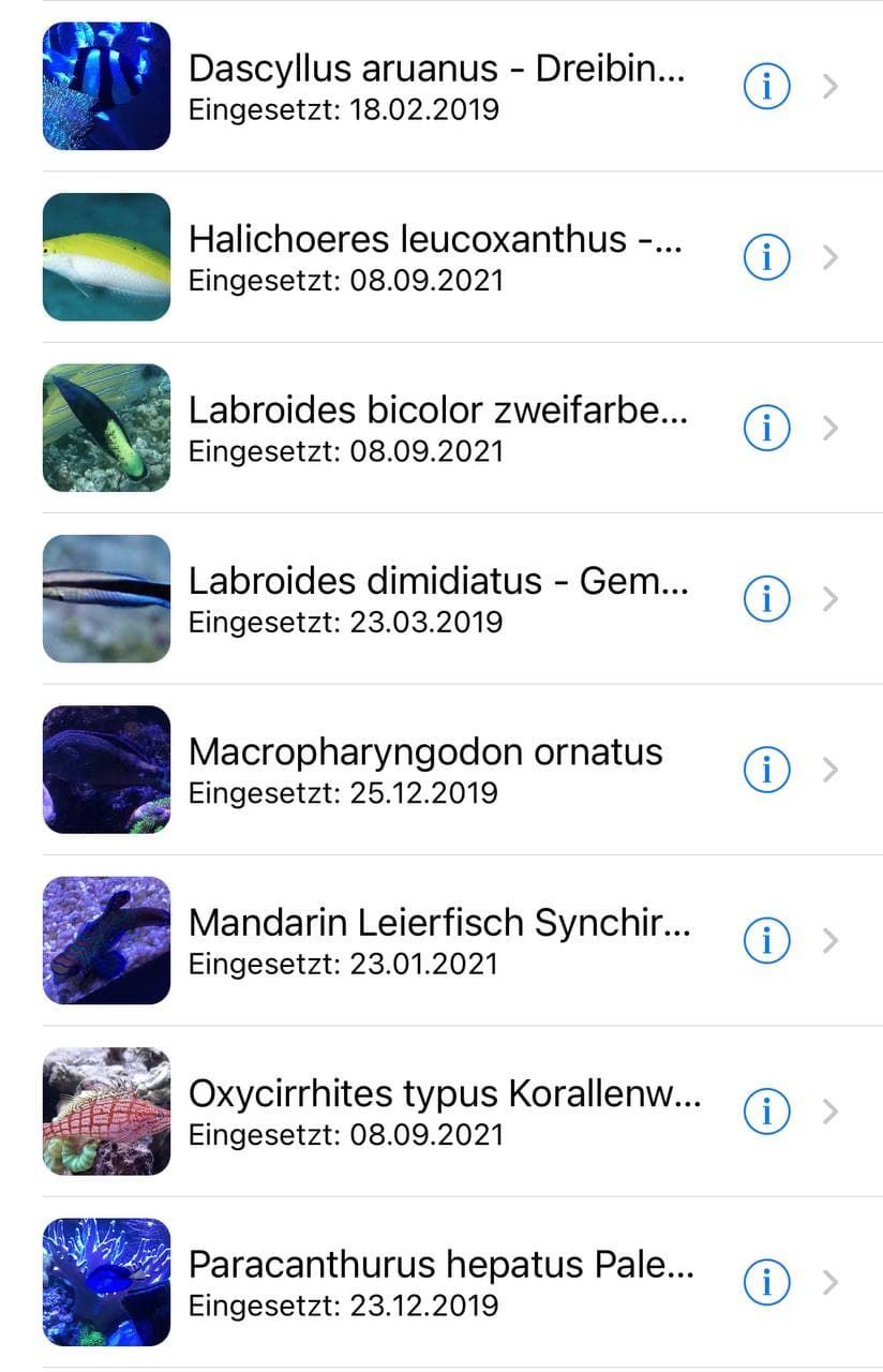Fische1.jpg