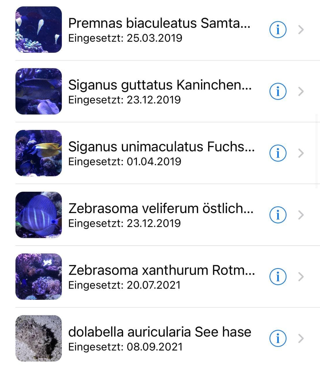 Fische2.jpg