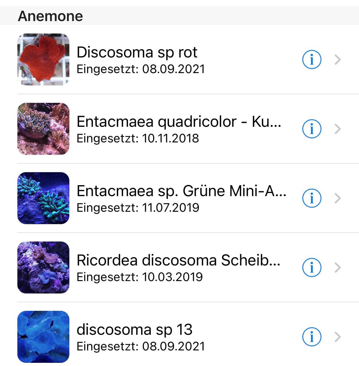 Anemonen.jpg
