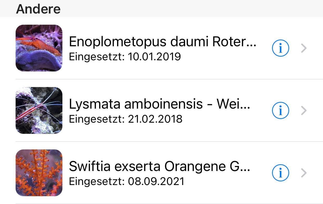 Korallen Andere1.jpg