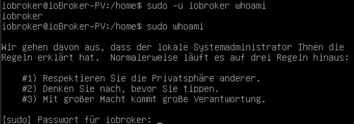 NFS_03.jpg