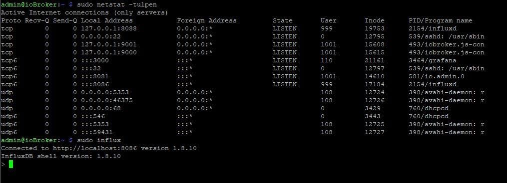 Terminal netstat.jpg