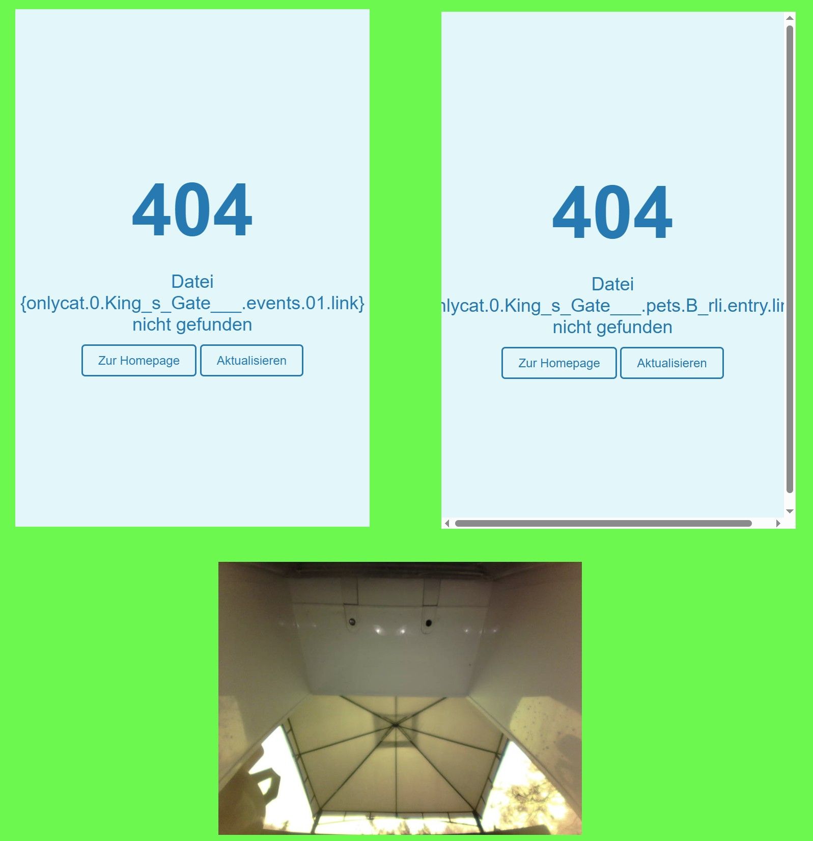 42bd312d-83f1-4e69-a510-a5be4a41a5ed-image.jpeg