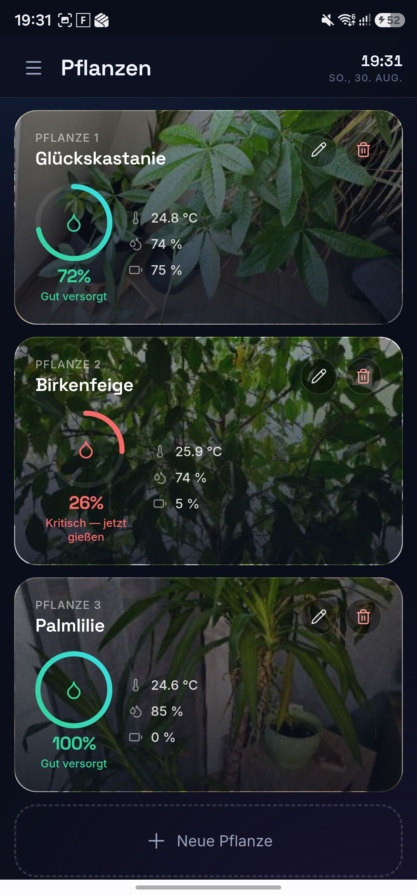 Pflanzen
