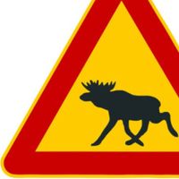 ELK